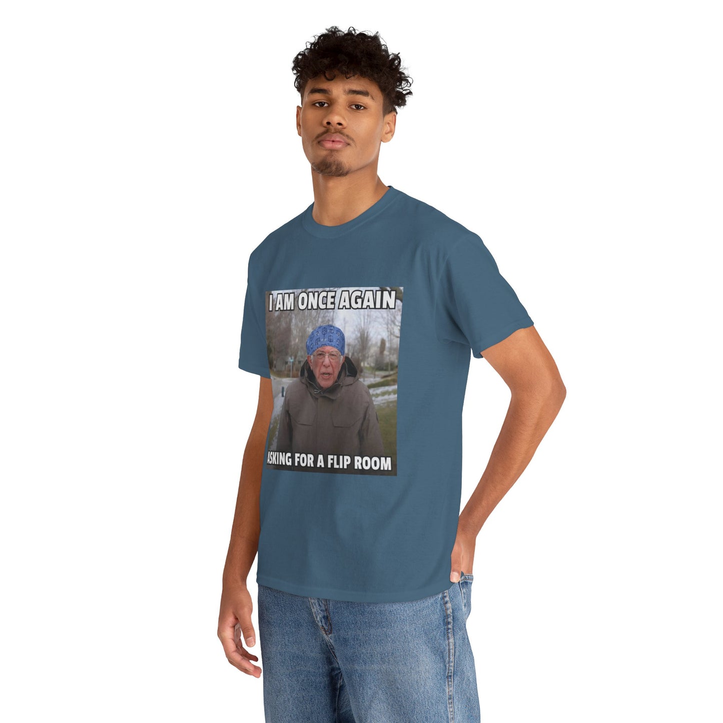 I Am Once Again Asking For A Flip Room T-Shirt | Bernie Meme Tee