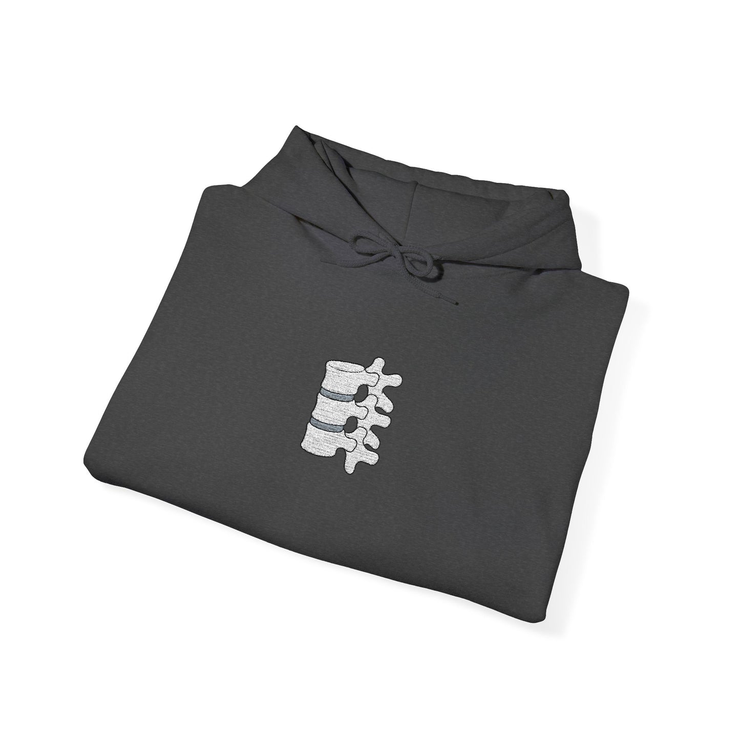 Anatomical Spine Embroidered Hoodie